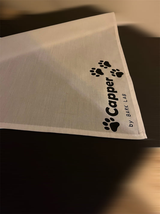 Bark Lab | Custom Halstuch